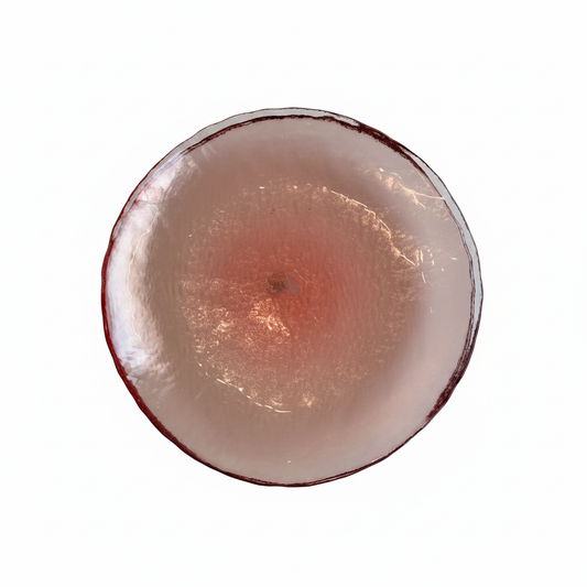 Plato rosa vista cenital fondo blanco