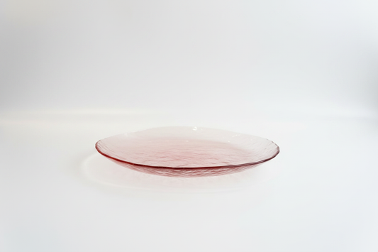 Plato rosa vista lateral fondo blanco